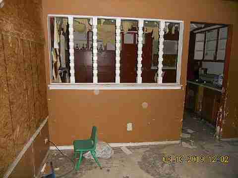 15017 Dolphin (5)_m.jpg